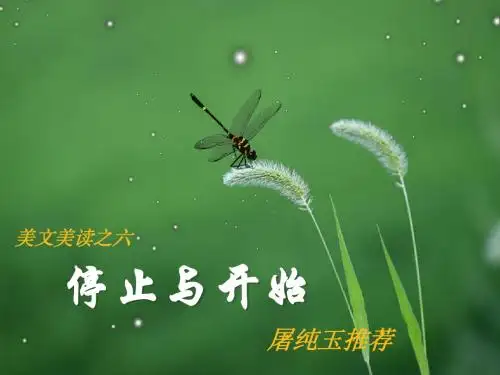 开始与停止 屠纯玉荐