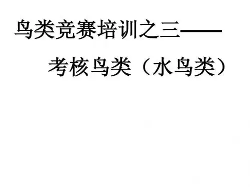 鸟类识别培训