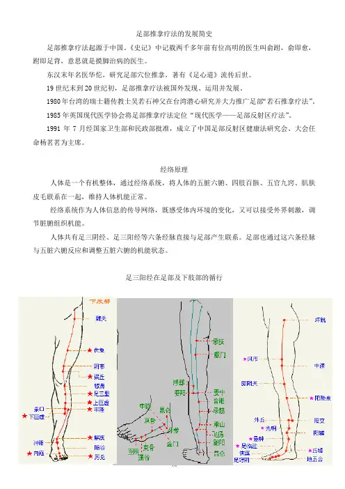 足疗理论基础