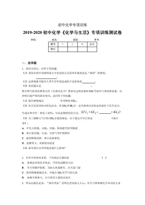 2019-2020学年初中化学《化学与生活》专项训练模拟测试(含答案) (25)