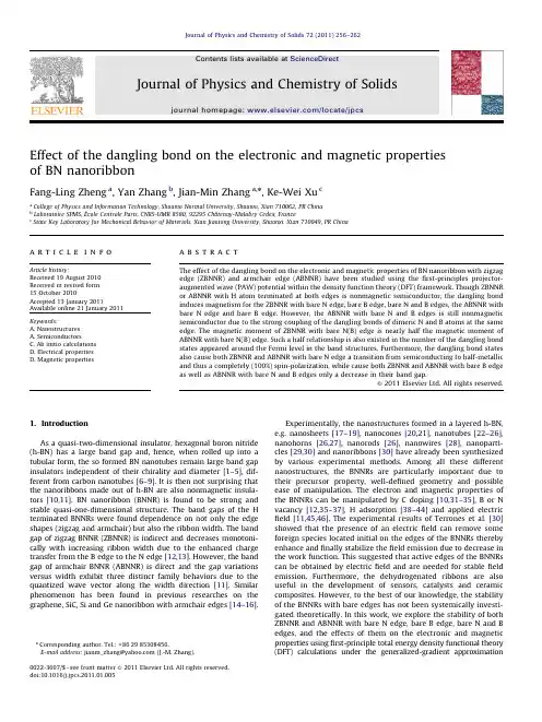 Effect ofthedanglingbondontheelectronicandmagneticproperties