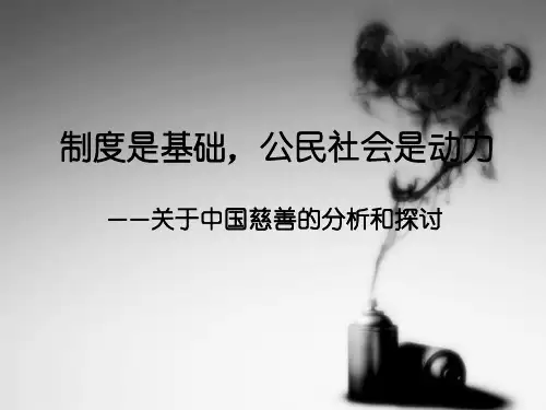关于中国慈善的分析和探讨