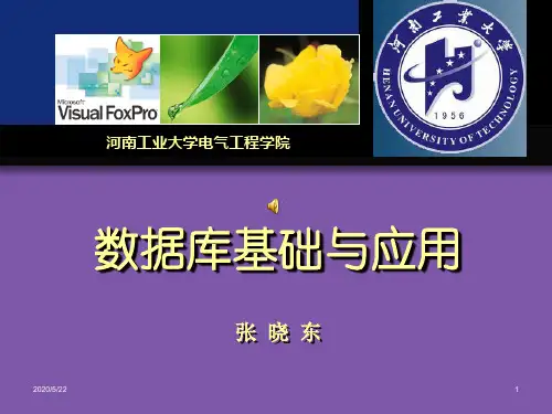 VFP语言基础
