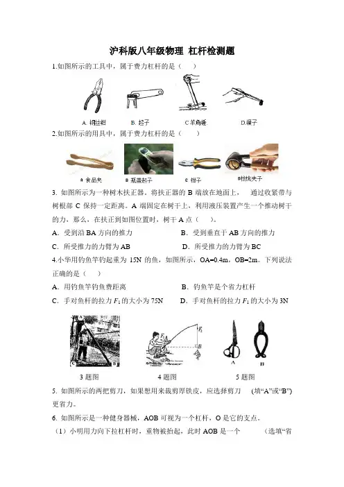 沪科版八年级物理第九章第一节科学探究：杠杆的平衡条件 检测题