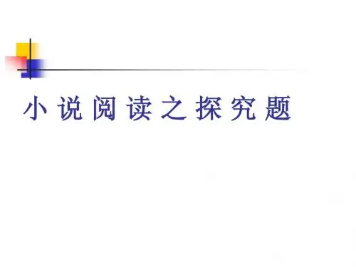 小说阅读之探究题