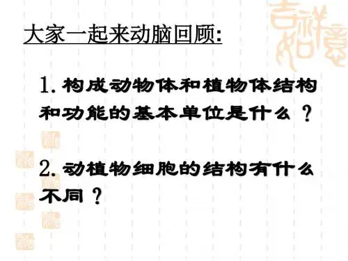 七 上 生物细胞的生活