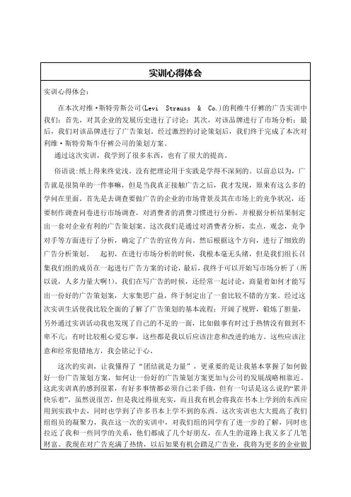 广告实训_心得体会