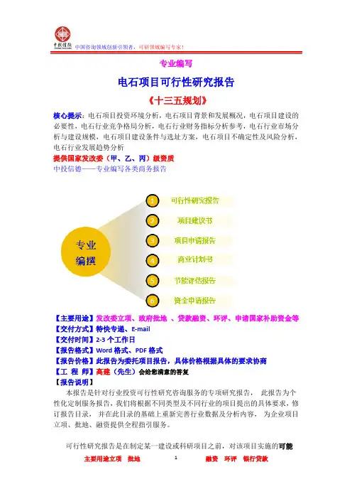 电石项目可行性研究报告
