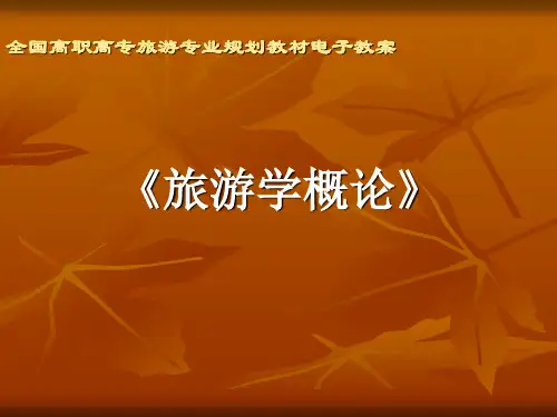 第九章旅游组织与旅游政策法规