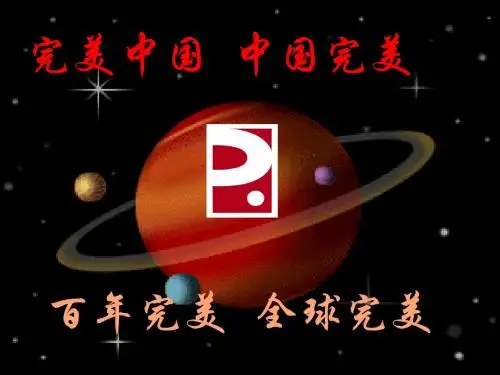 完美的价值远景-张仕德