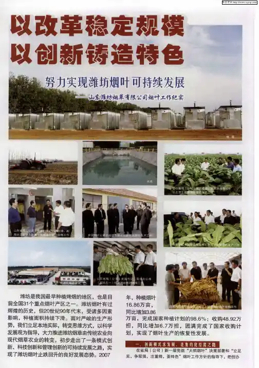 以改革稳定规模 以创新铸造特色 努力实现潍坊叶可持续发展——山东潍坊烟草有限公司烟叶工作纪实