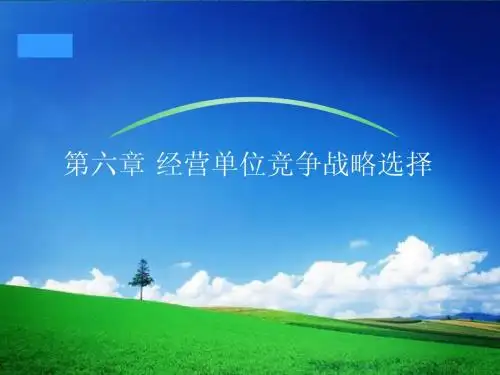 第六章 竞争战略