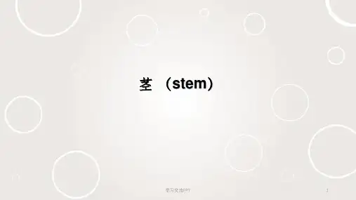 药用植物学——茎课件