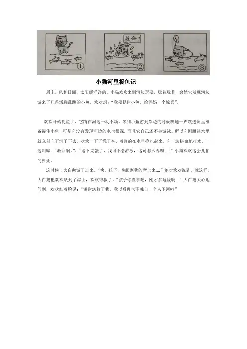 小猫捉鱼 看图写话 小学2年级  300字