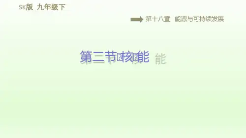 2021春苏科版九年级物理下册课件第18章 18.2核 能