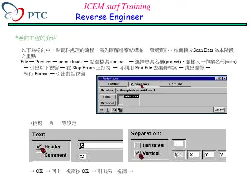 icemsurf 逆向