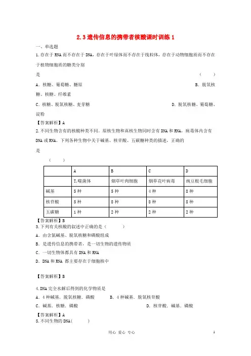 高中生物 2.3遗传信息的携带者核酸课时训练1 新人教版必修1