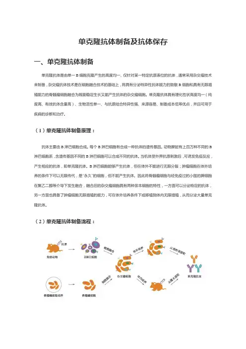 单克隆抗体制备及抗体保存