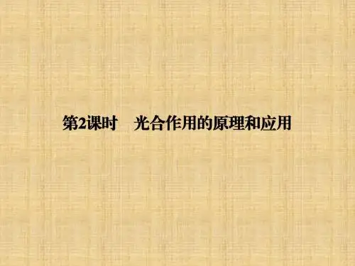 高中生物 5.4《光合作用的原理和应用》名师优质课件 新人教版必修1