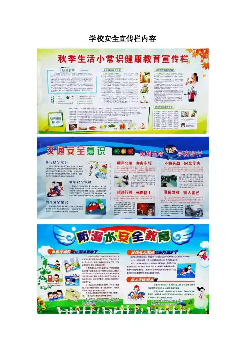 学校安全宣传栏内容