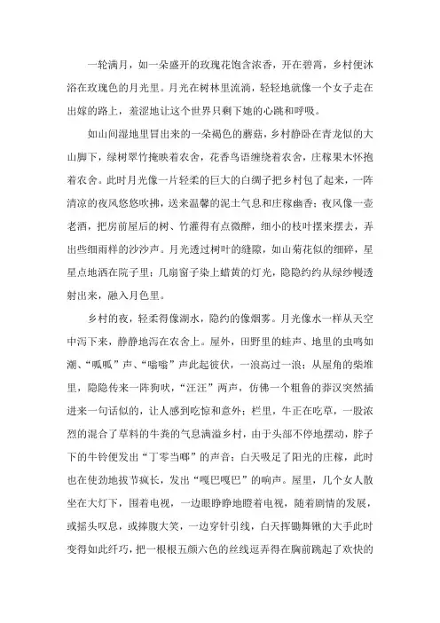 乡村的夜晚