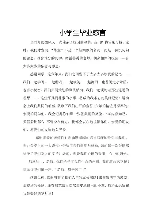 小学生毕业感言 2