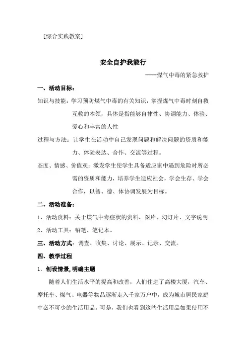 综合实践教案