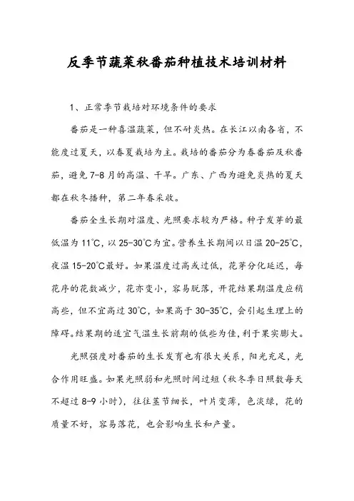 反季节蔬菜秋番茄种植栽培技术培训材料
