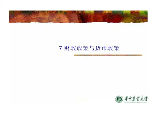 宏观经济学 武汉大学 7 财政政策和货币政策共100页