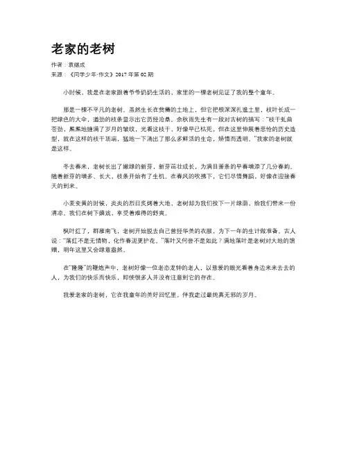 老家的老树