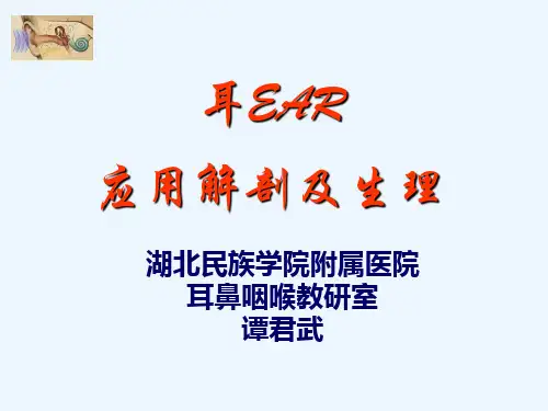 耳的解剖与生理