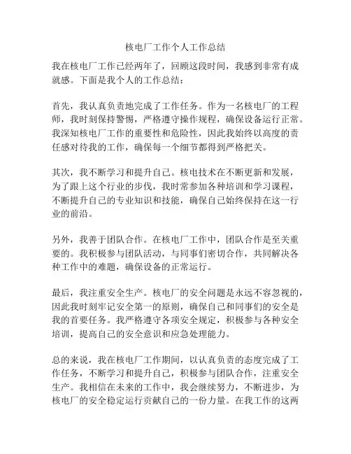 核电厂工作个人工作总结