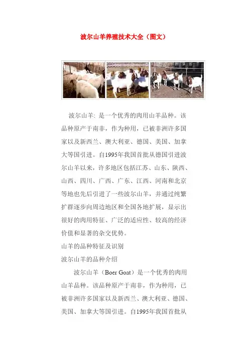 波尔山羊养殖技术 2