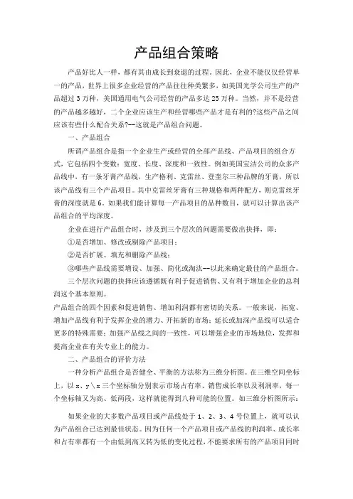 产品组合策略 2