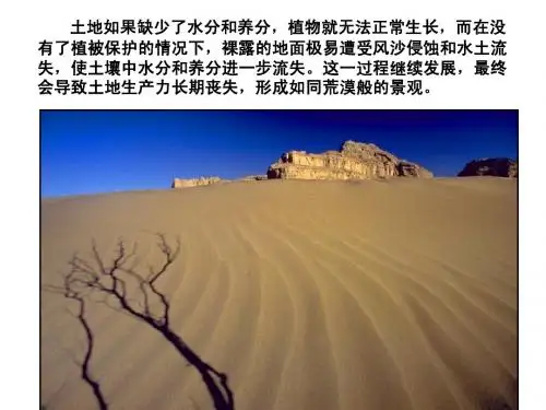2.1荒漠化的防治