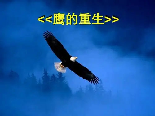 转载：《鹰的重生》的教学设计