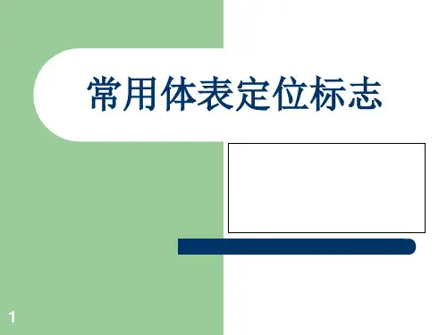 常用体表定位标志PPT