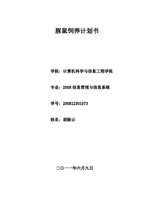 IT战略(商业计划书)