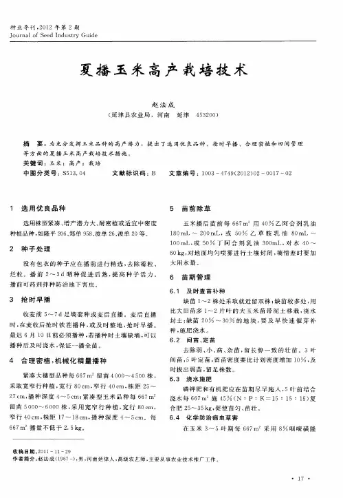 夏播玉米高产栽培技术 2
