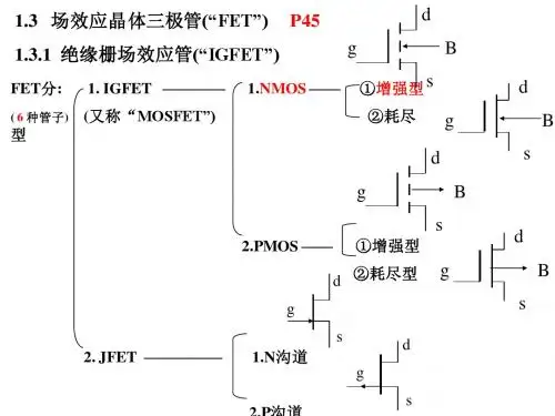 第1章 (3)常用半导体器件FET