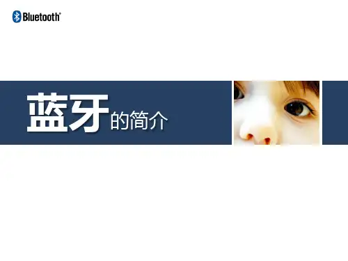 BT介绍及测试