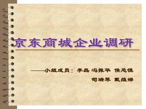 京东商城案例分析