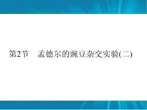 1.2 孟德尔的豌豆杂交实验(二) 课件(人教版必修2)