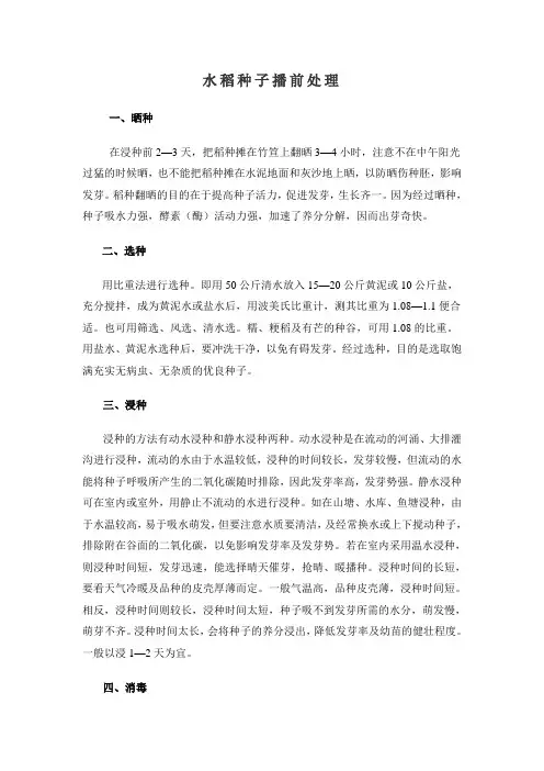 水稻播前种子处理
