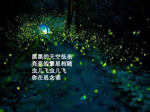 萤火虫