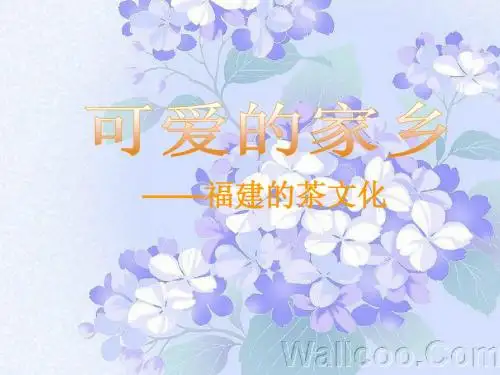 可爱的家乡2