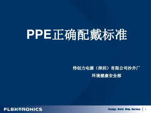 PPE正确配戴标准 (2)