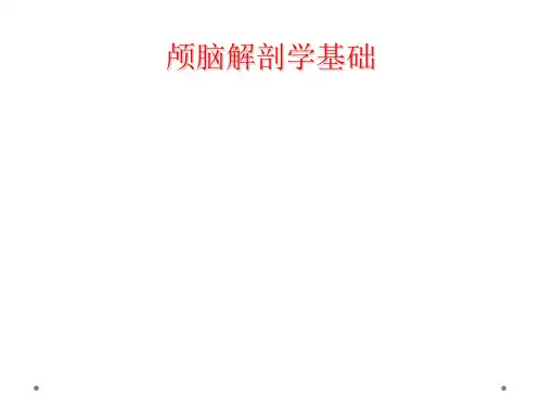 颅脑解剖学基础