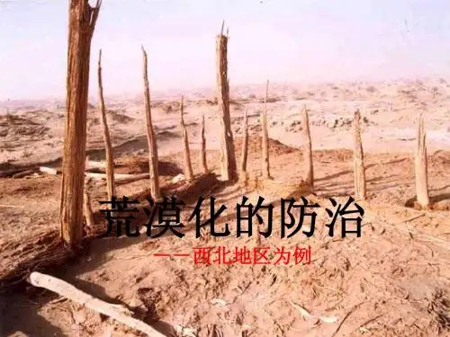 第一节 荒漠化的防治