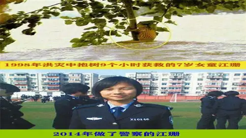 第8课体操器械练习:攀爬